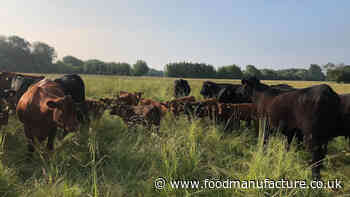 Regenerative grazing for carbon sequestration