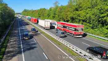 112-nieuws: flinke file op A67 • loslopende pony gevangen