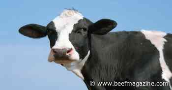 Farm Progress America, April 29, 2024