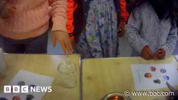 Urgent probe into conspiracy theory school claims