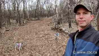 As tick season takes off in Sask., scientists monitor for new disease-carrying species