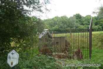 Natuurpunt organiseert wandeling voor vroege vogels