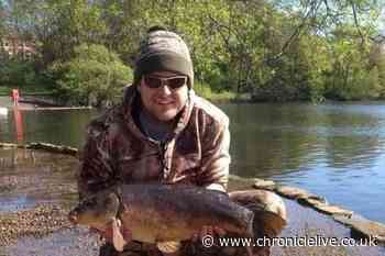 Murder accused pensioner Alder Willis pleads not guilty to killing Andrew Darn in North Shields