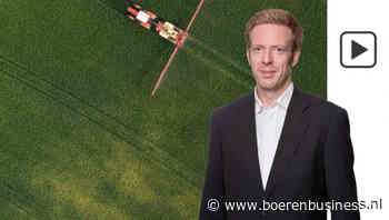 Tarwe in Europa krijgt geen kans echt te herstellen