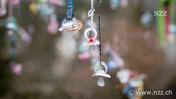 KOMMENTAR - Hilfe, die Schweizer sterben aus! Doch Kinder lassen sich nicht kaufen