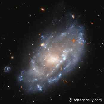 Spiraling Secrets: Unveiling the X-Ray Mysteries of Dwarf Galaxy IC 776