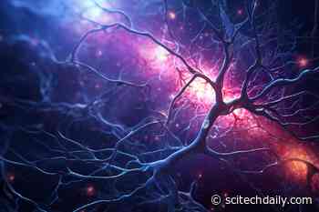 Wake Up and Die: New Brain Cell Discovery Could Unlock Alzheimer’s Secrets