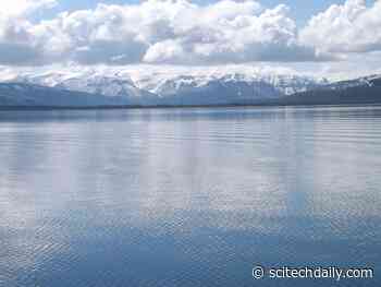 Defying Climate Change: Yellowstone’s Lake Ice Isn’t Melting Like Others