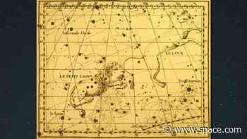 'Cat nights' are here as Leo, Leo minor, and Lynx constellations prowl the evening sky