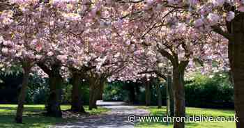 Met Office issues Tuesday hour-by-hour forecast as North East temperatures could hit 18°C