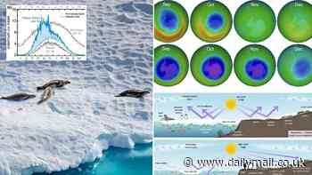 Antarctic wildlife is being sunburnt: Hole in the ozone layer now lingers over the continent for more of the year - leaving seals and penguins exposed to dangerous levels of UV, study warns