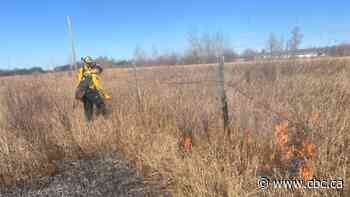 Indigenous communities turn to prescribed burns to protect land from wildfires