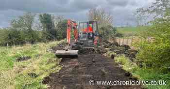 Work begins to reopen disused Northumberland railway line to walkers and cyclists
