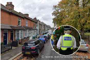 Watford woman in court over 'bladed article' incident