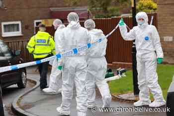 Felling murder victim posted pictures of his pint in the pub less than an hour before he was stabbed to death