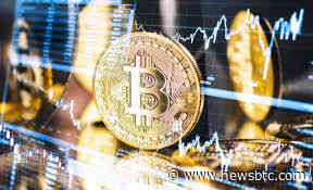 CryptoQuant Analyst Reveals Signal That Shows Bitcoin Is Still Very Bullish