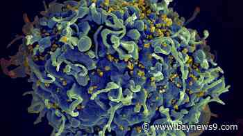 CDC says it's identified 1st documented cases of HIV transmitted through cosmetic needles