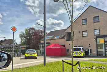 Man dood aangetroffen in flat in Hechtel