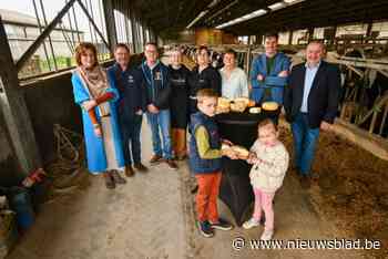 Streekproducenten lanceren drie ambachtelijke kazen op basis van bier en wijn: “Boerenmarkt krijgt straks de primeur”