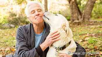 Dogs Can Get Lyme Disease, Too