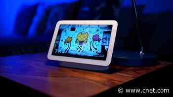 Best Smart Displays of 2024     - CNET