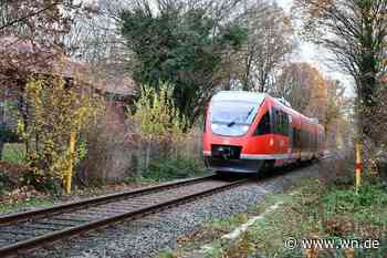 Jugendliche versprühen Reizgas im Zug