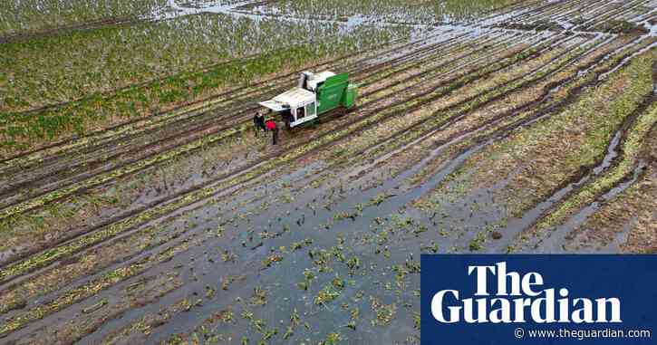 ‘Washout winter’ spells price rises for UK shoppers with key crops down by a fifth