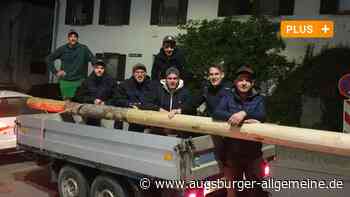 Kinsauer Trommler stibitzen Hohenfurcher Maibaum