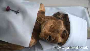 Scientists uncover why at least 100 dead bodies have naturally mummified in Colombian town since 1960s