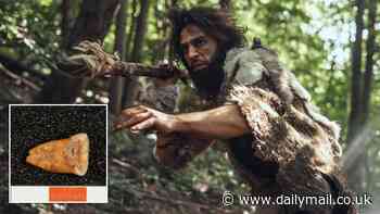 Forget what you thought about cavemen! Early hunter-gatherers were mostly VEGETARIAN and gorged on beige starchy foods, study claims