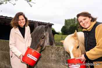 Versele-Laga wordt partner van Streekfonds Oost-Vlaanderen