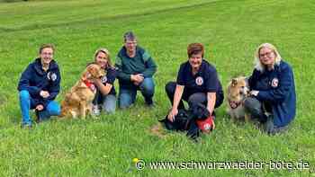 Hilfe auf vier Pfoten im Kreis Calw: Was Therapie-Hunde leisten können – und müssen