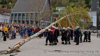Tradition in Altensteig: Maibäume in allen Stadtteilen