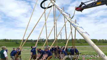 Diebesgut zurückerhalten: 22 Meter hoher Maibaum mit viel „Hau ruck“ in St. Erasmus aufgestellt
