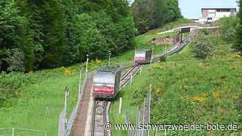 Fachleute erfahren viel Neues: Seilbahnspezialisten zu Gast in Bad Wildbad