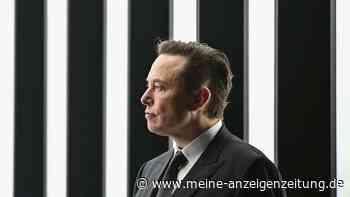 Supreme Court lässt Musk bei Social-Media-Aufsicht abblitzen