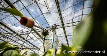 Parkinson wordt ook beroepsziekte voor boeren in Duitsland: waarom niet in Nederland?