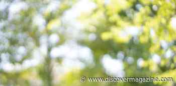 Nearsightedness Is at Epidemic Levels and the Problem Begins in Childhood