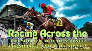 Across the Finish Line! Citizen Science Month Final Days.