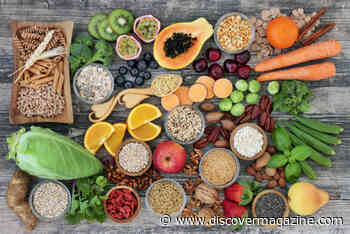 It Doesn't Take Long to Reset Your Gut Health With Small Lifestyle Changes