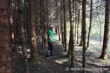 Harmonie organiseert 53ste keer Amelbergawandeltochten