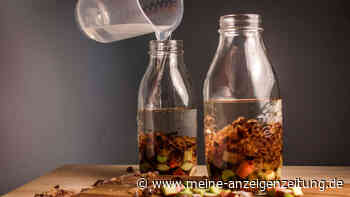 Selbstgemachter Rhabarberlikör: So schmeckt der süßsaure Frühling