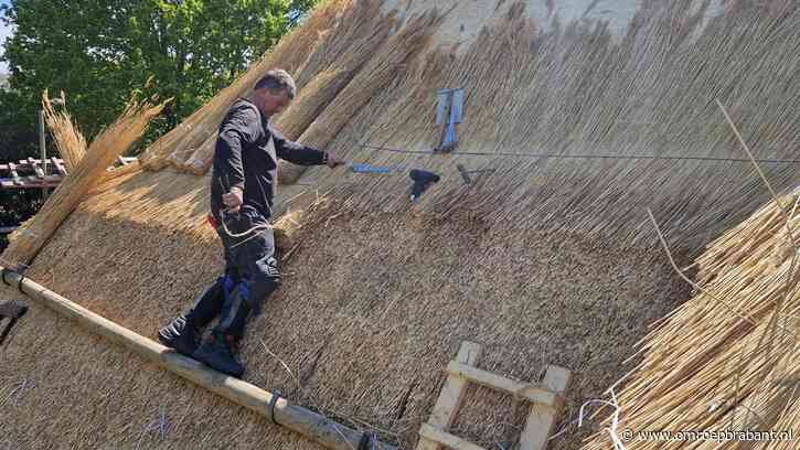 Enorme klus om oud rieten dak te vervangen: 'Veel brandveiliger'