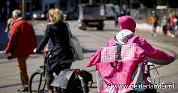 Flitsbezorgers uit de gratie, na vertrek Getir is nu alleen Flink nog over: redt die dienst het wel?