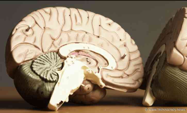 Epidemic Of Prion Disease Emerging After SARS-CoV-2 And mRNA Jabs