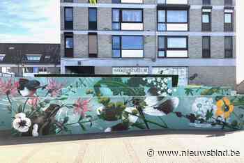 Artistieke muurschildering brengt kleur in hartje Lanaken