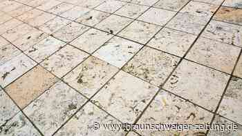 Zahnarzt entdeckt Zähne von Frühmenschen in Badfliese