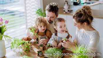 Pläne der Ampel: Eltern sind enttäuscht – und das zu Recht