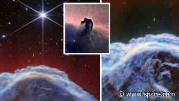 Horsehead Nebula rears its head in gorgeous new James Webb Space Telescope images (video)
