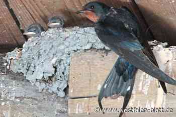 Werther errichtet einen besonderen Neubau